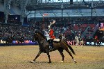 Cavalry - 00275